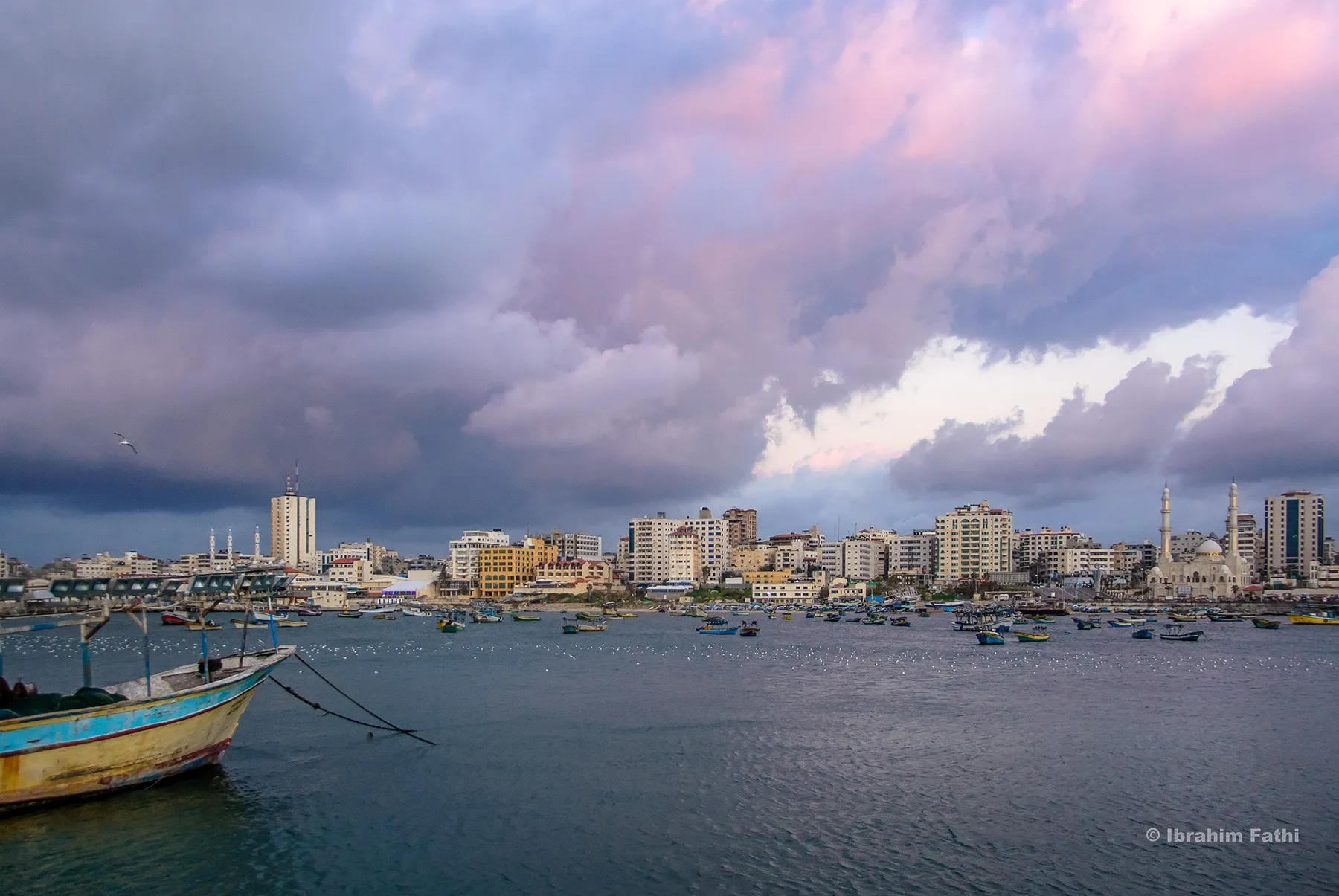 Gaza harbour
